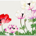 Poppy Flower No.2