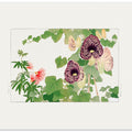 Albizia & Aristolochia Flower