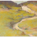 Pathway In a Field