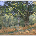 The Bodmer Oak, Fontainebleau Forest (1865) By Claude Monet