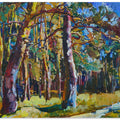 Pine forest