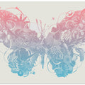 Butterfly 1