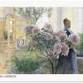 Azalea (1906)