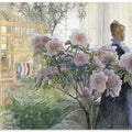 Azalea (1906)