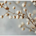 Dried Elegance
