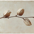 Faded Elegance