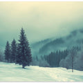 Pine Tree Winter Landscapes