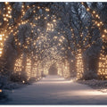Christmas Path Snowy