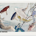 Six Carp Swimming Beneath Wisteria (1889)