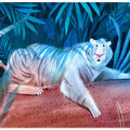 Jungle Moonlight