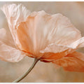 Whispering Blossom