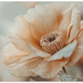 Gentle Blossom