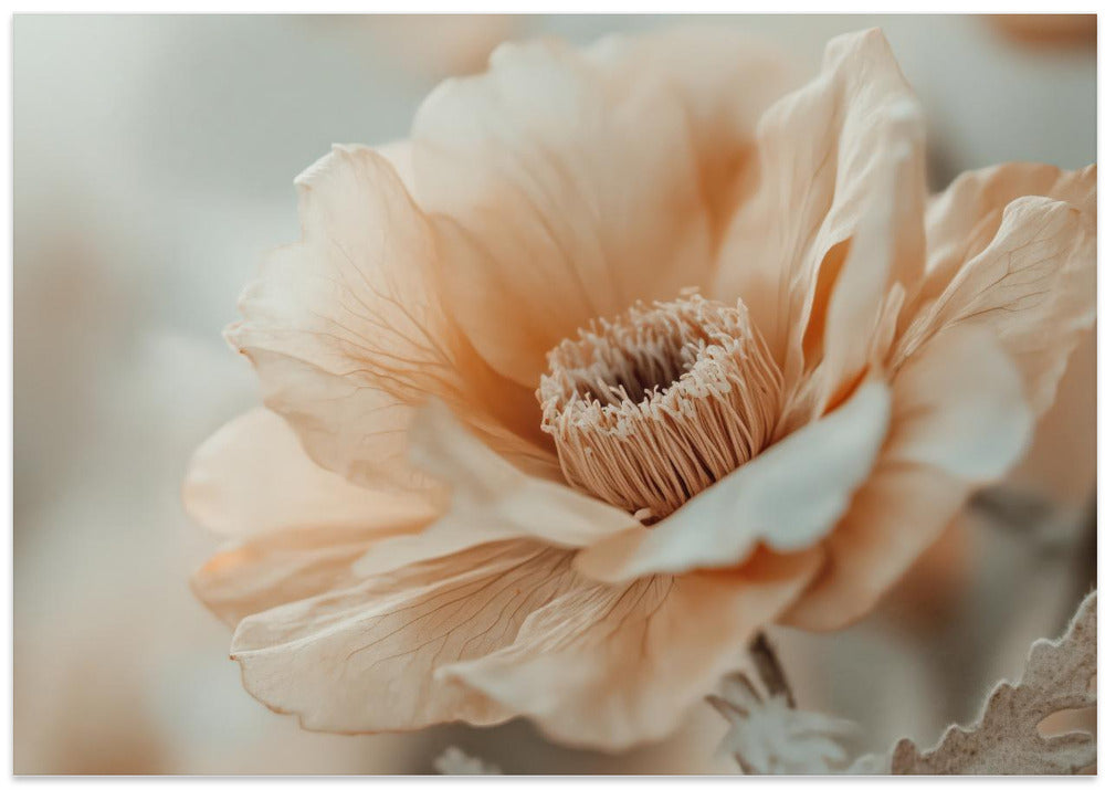 Gentle Blossom