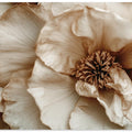 Petals in Whisper