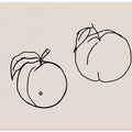 Peachy Outlines