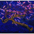 Vibrant Fusion Of Abstract And Impressionistic Styles