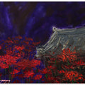 Red Spider Lilies At Night