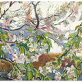 Cherry Blossoms In Spring