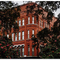 Postcard From Savannah