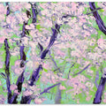 cherry blossoms oil on canvas