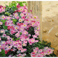 wild chrysanthemum oil on canvas