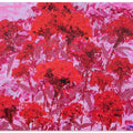 cockscomb oil on canvas