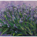 lris oil on canvas