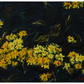 wild chrysanthemum oil on canvas