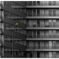 '- Modern Streetlight IX -