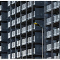'- Modern Streetlight XI -
