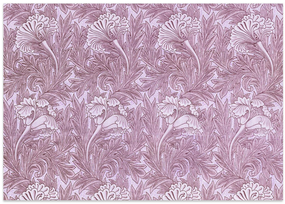 Purple Tulip
