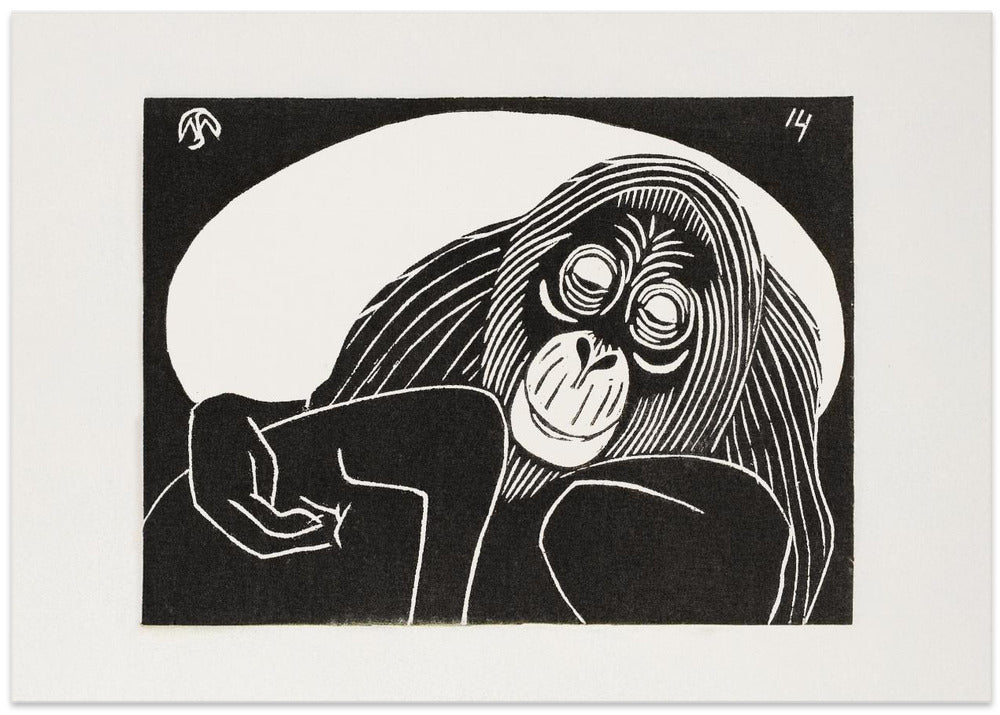 Orangutan