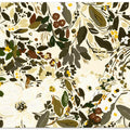 Floral Blooms