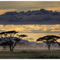 Good evening tanazania