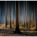 Mystic Wood