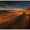 ... the long winding road