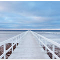 The bridge