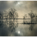 Lake's Secret