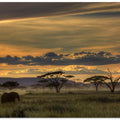 Africa