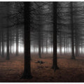 Silence