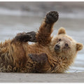 High Five