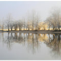 january morning