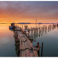 The last... Light