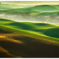 Freedom....
