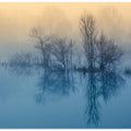 Morning reflection