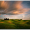 Fields...