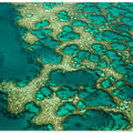 Art Prints of Gondwana