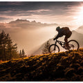 Golden hour biking