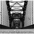 Art Prints of ...