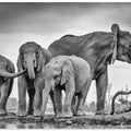 A Giant Unity